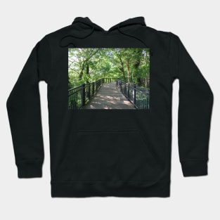 Walkway  through the woods Hoodie